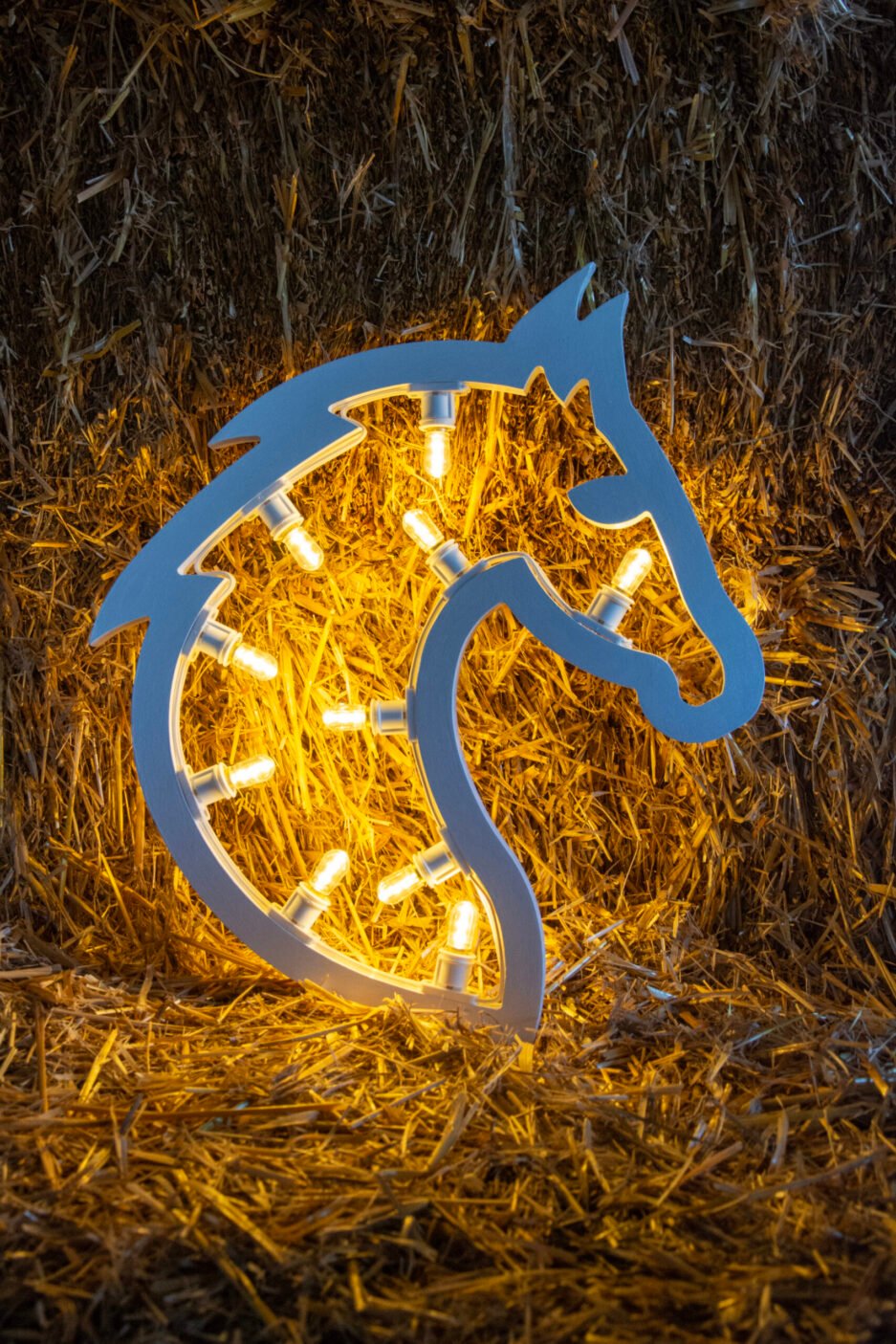 CAVALLO SIHLOUETTE