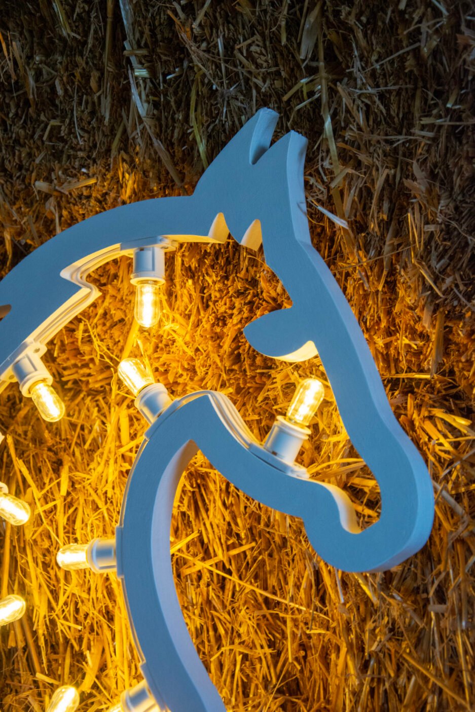 CAVALLO SIHLOUETTE