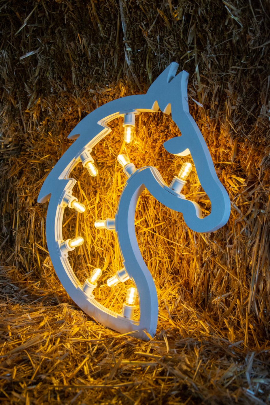 CAVALLO SIHLOUETTE